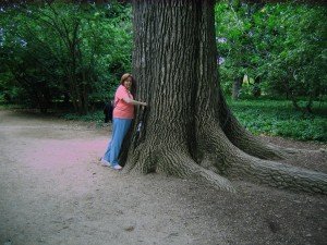 Tree Hugger